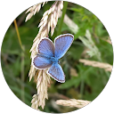 Jonathan Muis profielfoto